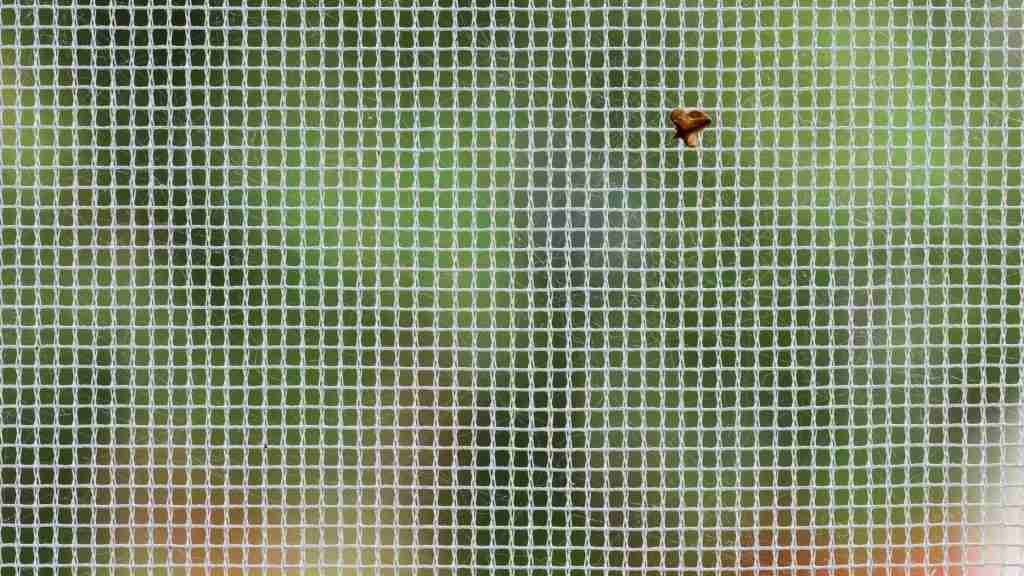 mosquitera para toldo